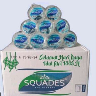 Squades air mineral gelas 220 ml 1 dus isi 48 cup