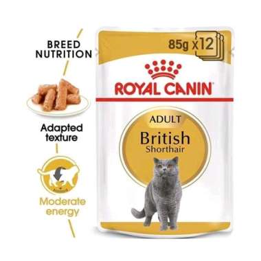 royal canin pouch british short hair 85g