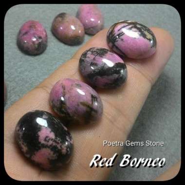 RED BORNEO KALIMANTAN