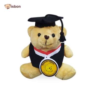 Boneka Teddy Bear TAN Istana Boneka BEAR Tewe With Toga Lucu