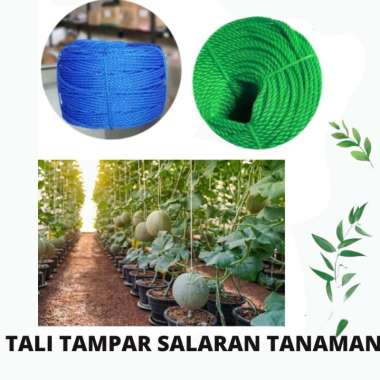 250 METER/ROL TALI TAMPAR NYLON 1.5MM TALI RAMBAT SALARAN TANAMAN HIAS