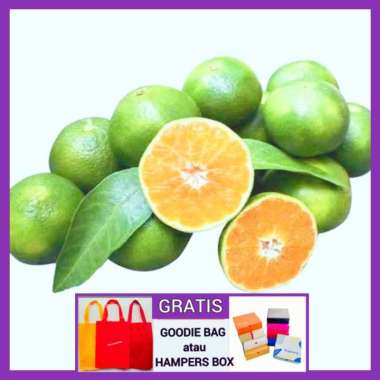 Jeruk Peras Untuk Es Jeruk 1 kg 1 kg