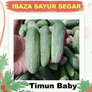 TIMUN BABY TIMUN LALAPAN Sayur Segar IBAZA fruitsBOX