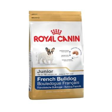 Jual Anak Anjing Bulldog Online Baru Harga Termurah Februari