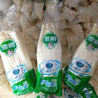 Jamur Enoki Apolo Hijau