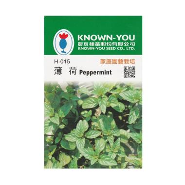 Known You Seeds Benih Tanaman Peppermint atau Daun Mint