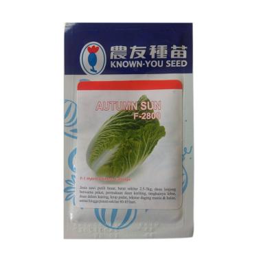 Known You Seeds Autumn Sun Sawi Putih Benih Tanaman ... Rp 75.000 · Known You Seed Benih Ta Ke Cai Pagoda Benih ...