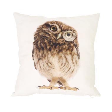 40+ Harga burung owl terbaru