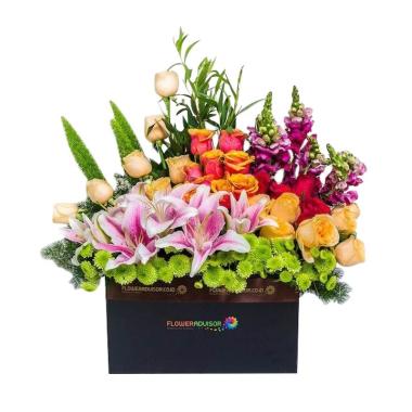 Flower Advisor Blossom Festival Bunga