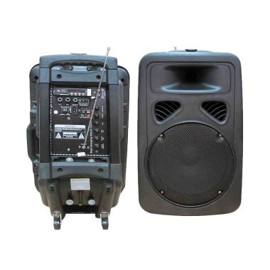 Dusen Berg YMA-12 Professional PA Amplifier System