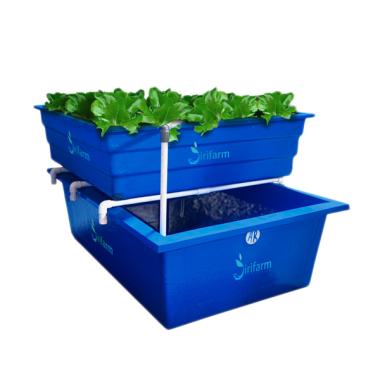 Jirifarm Paket Starterkit Akuaponik ... Bibit Ikan Nila dan Sayur