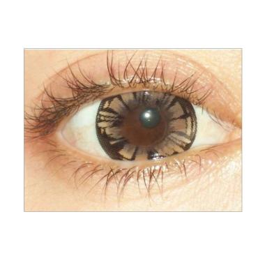 X2 Manga Softlens - Brown