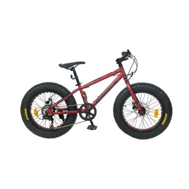 Jual Sepeda Wimcycle 20 Inch Terbaru Harga Murah Blibli Com