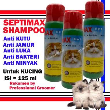 Anti shampo kutu kucing Harga Shampo