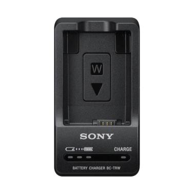 Sony Charger BC TRW