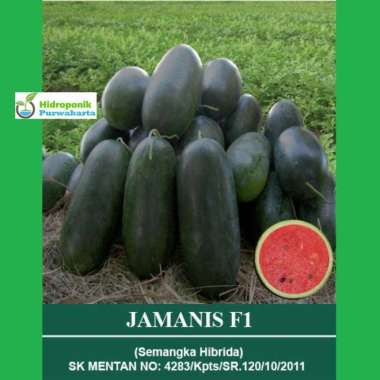Benih Semangka Hibrida Jamanis F1 Tipe Inul isi 20 Gr Cap Mutiara Bumi -