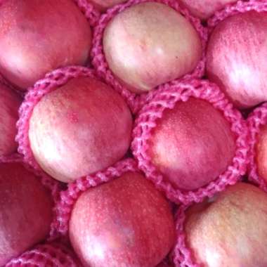 Buah apel Fuji segar 1kg diskon promo murah