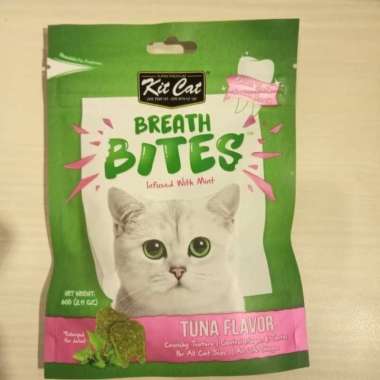 Bio creamy makanan kucing