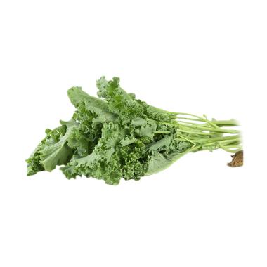 Jual Sayur Hidroponik Murah Harga Promo Blibli Com