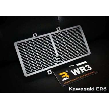 Cover Radiator Kawasaki ER6N ER6F 12-16 WR3 Silver