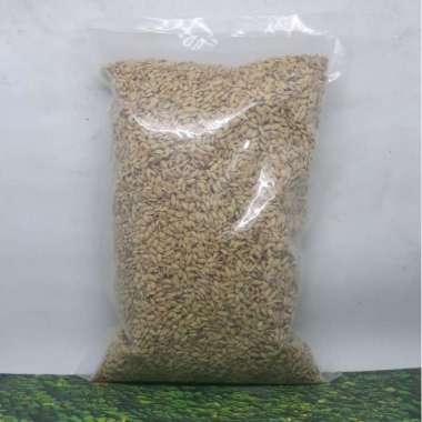 GABAH BANGKOK 500GR PAKAN MAKANAN BURUNG LOVEBIRD PERKUTUT KENARI TEKUKUR MERPATI DLL