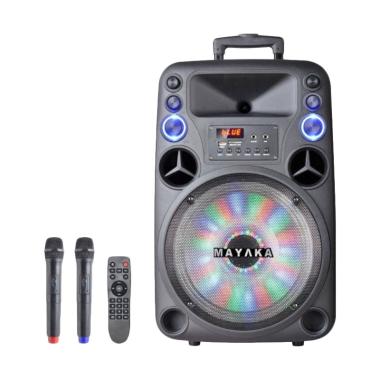 portable speaker meeting