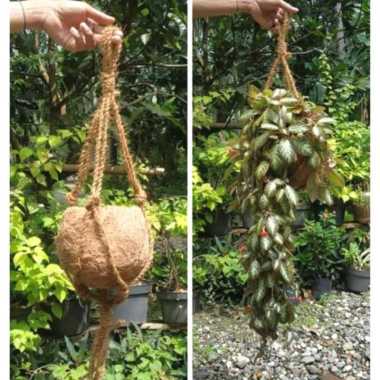 kokedama pot sabut kelapa anggrek gantung penyubur bunga anggrek