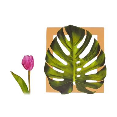 Prima Shabby Craft Walldecor Wooden Monstera Dekorasi Dinding