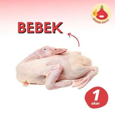Bebek 1 Ekor / Bebek Segar / Daging Segar - Bawangbagus