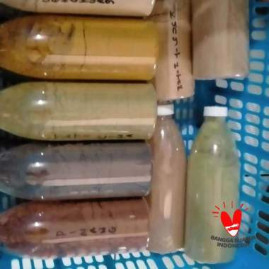 Bubuk Merica Lada Hitam 200gram Botol Cantik