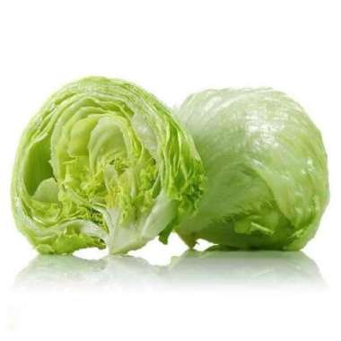 Letuce sayuran letus Lettuce iceberg sayur kebab salad Lotus 1kg