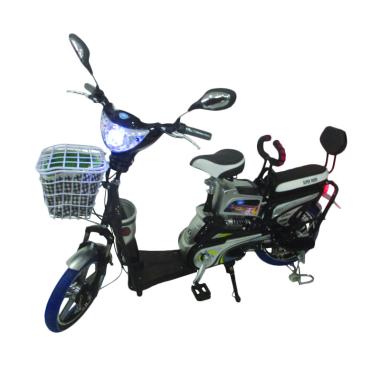Daftar Harga Aki Sepeda Listrik Electric Bike Super Rider Termurah