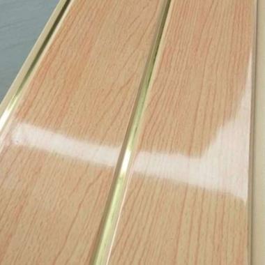 plafon pvc evo