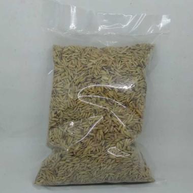 GABAH MERAH 500GR PAKAN MAKANAN BURUNG LOVEBIRD PERKUTUT KENARI TEKUKUR MERPATI DLL