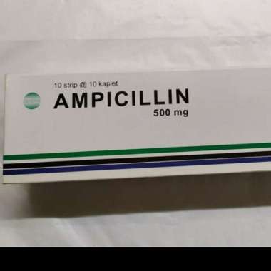 ampicillin 500 mg obat apa