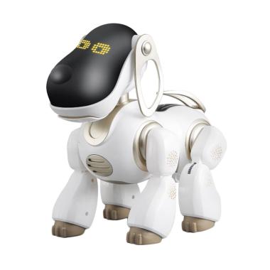 JJRC R18 2.4G RC Robot Gesture Sensor Smart Programming Intelligent RC Toys