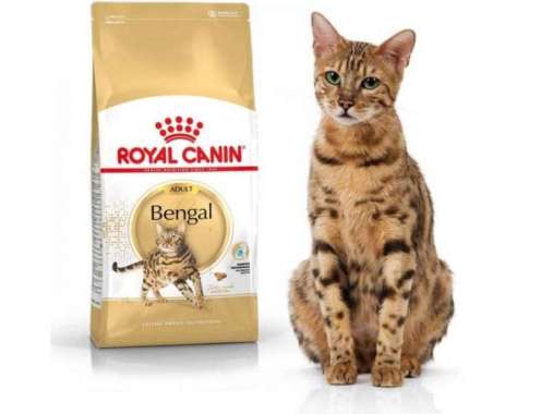 ROYAL CANIN BENGAL 400GR / MAKANAN KUCING RAS BENGAL 400GR