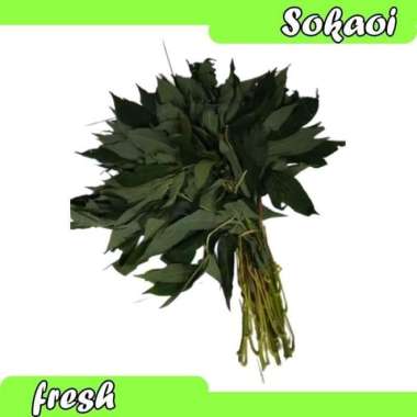 DAUN SINGKONG SAYUR SEGAR SAYURAN SEGAR MASAKAN