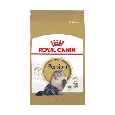 Kucing Persia Himalaya Harga Terbaru Oktober 2020 Blibli Com