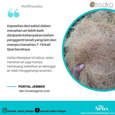 coco fiber cocofiber serat serabut kelapa media hias tanaman media tanam anggrek 1 kg