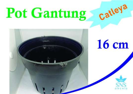 Pot Gantung 16 cm Bunga Anggrek Cattleya Bulan Dendro Vanda Plastik Hitam