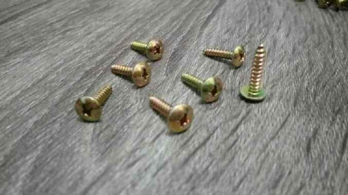 Baut Ram Speaker - Baut Cacing