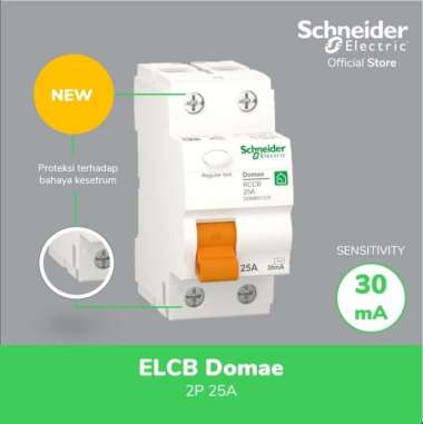 Schneider Electric Domae RCCB / ELCB - 2P 30mA 25 A - DOMR01225