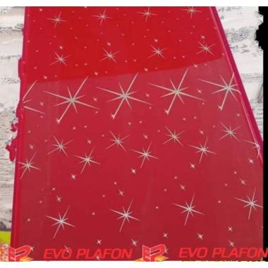 pvc plafon bintang