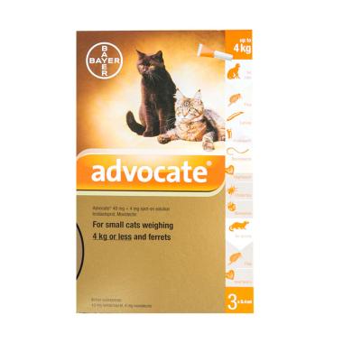 Hewan Bayer Jual Produk Terbaru Oktober 2019 Blibli Com