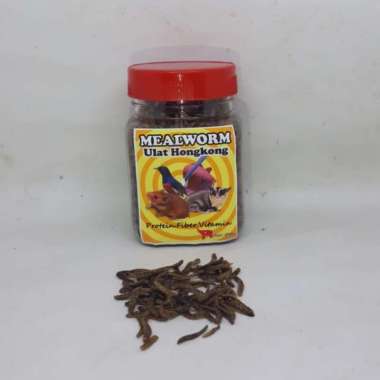MEALWORM ULAT HONGKONG KERING KEMASAN TOPLES PAKAN ARWANA HAMSTER BURUNG SUGAR GLIDER
