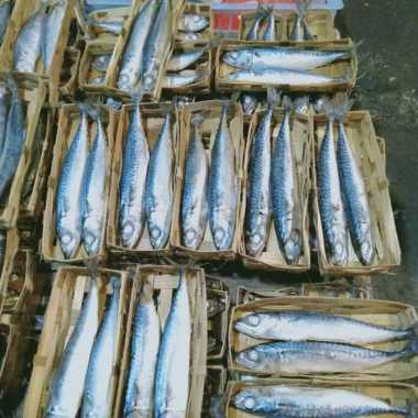 Ikan Cue 3 keranjang isi 6