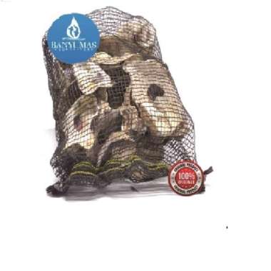 Kerang Oyster Media Filter Cangkang Kerang 1KG Packing Jaring AC5022