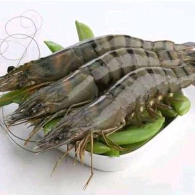 Udang Pancet/Windu/Black Tiger 500 gram