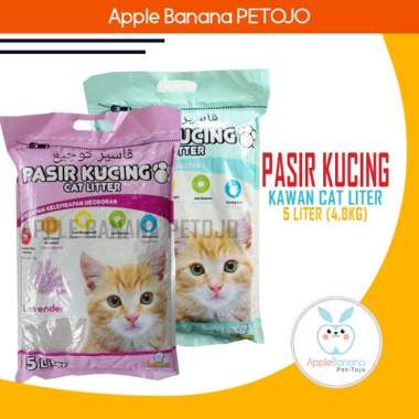 Harga pasir kucing 5 liter